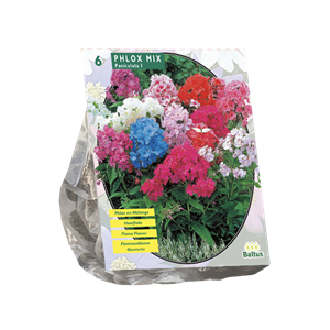Tuinplant.nl Vlambloem