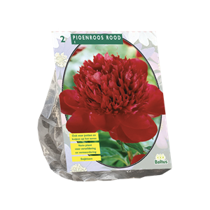 Tuinplant.nl Pioen