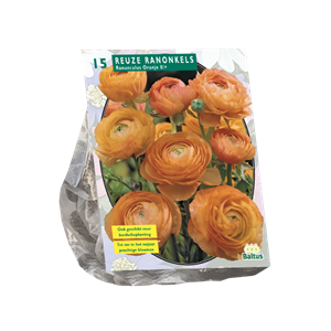 Tuinplant.nl Ranonkel