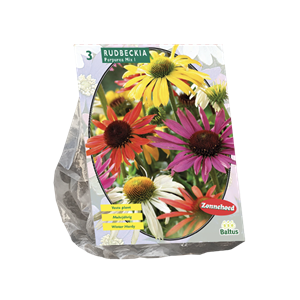Tuinplant.nl Rudbeckia