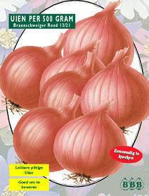 Tuinplant.nl Braunschweiger