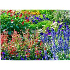 Merkloos Tuinposter Tuin 8 - Pillow Buddies