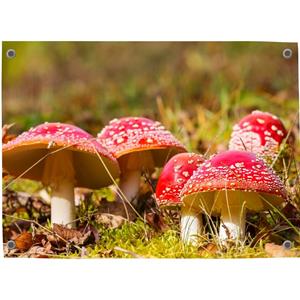 Merkloos Tuinposter Paddestoelen - Pillow Buddies