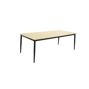 Praxis Tuintafel Lello Aluminium/polywood 210x100x74cm