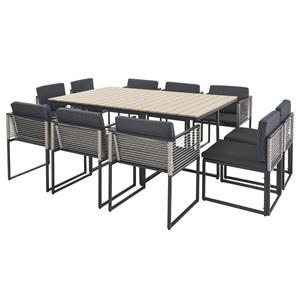 Praxis Dining Tuinset Monaco 11-delig 10 Personen
