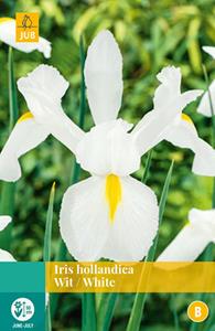 Jub Iris Hollandica Wit 20 bollen - 