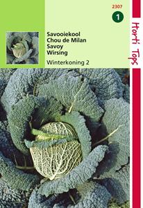 Hortitops Savooiekool Winterkoning 2 - 