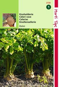 Hortitops Knolselderie Dolvi, Verb. Prager Reuzen - 