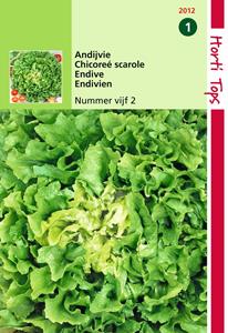 Hortitops Andijvie Nummer Vijf 2 - 