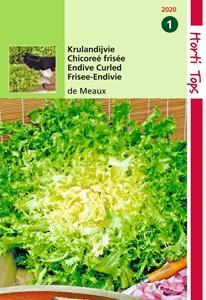Hortitops Krulandijvie De Meaux - 
