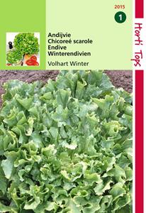 Hortitops Andijvie Breedblad Volhart Winter - 