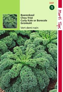 Hortitops Boerenkool Vert Demi Nain Middelhoge Fijne Krul - 