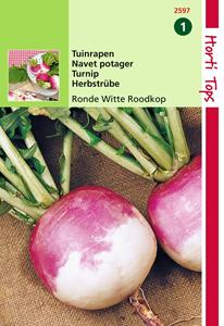 Hortitops Rapen Ronde Witte Roodkop Nancy - 