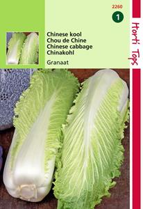 Hortitops Chinese Kool Granaat, Zelfsluitend - 