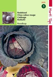 Hortitops Rodekool Roodkop Cabeza Negra 2 - 