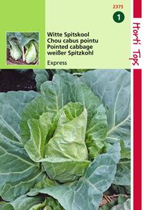 Hortitops HT Wittekool Express, Vroege Spitse - 