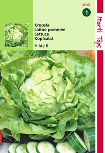 Hortitops Kropsla Hilde, Verb. Attractie - 