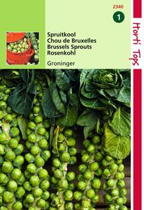 Hortitops Spruitkool Groninger - 