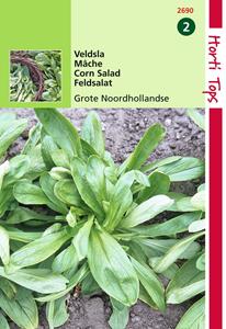 Hortitops HT Veldsla Grote Noordhollandse - 
