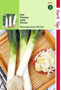 Hortitops Prei Blauwgroene Winter - 