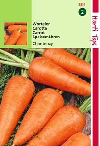 Hortitops HT Wortelen Chantenay - 