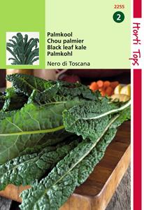 Hortitops Palmkool Nero di Toscane - 