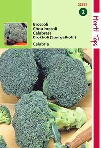 Hortitops Broccoli Calabria - 
