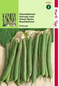 Hortitops HT Stamslabonen Prelude, 25g - 