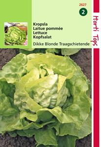 Hortitops Kropsla Grosse Blonde Dikke Blonde Traagsch. - 