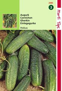 Hortitops Augurken Hokus - 