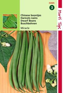Hortitops HT Stamslabonen, chinese boontjes Miracle, 25g - 