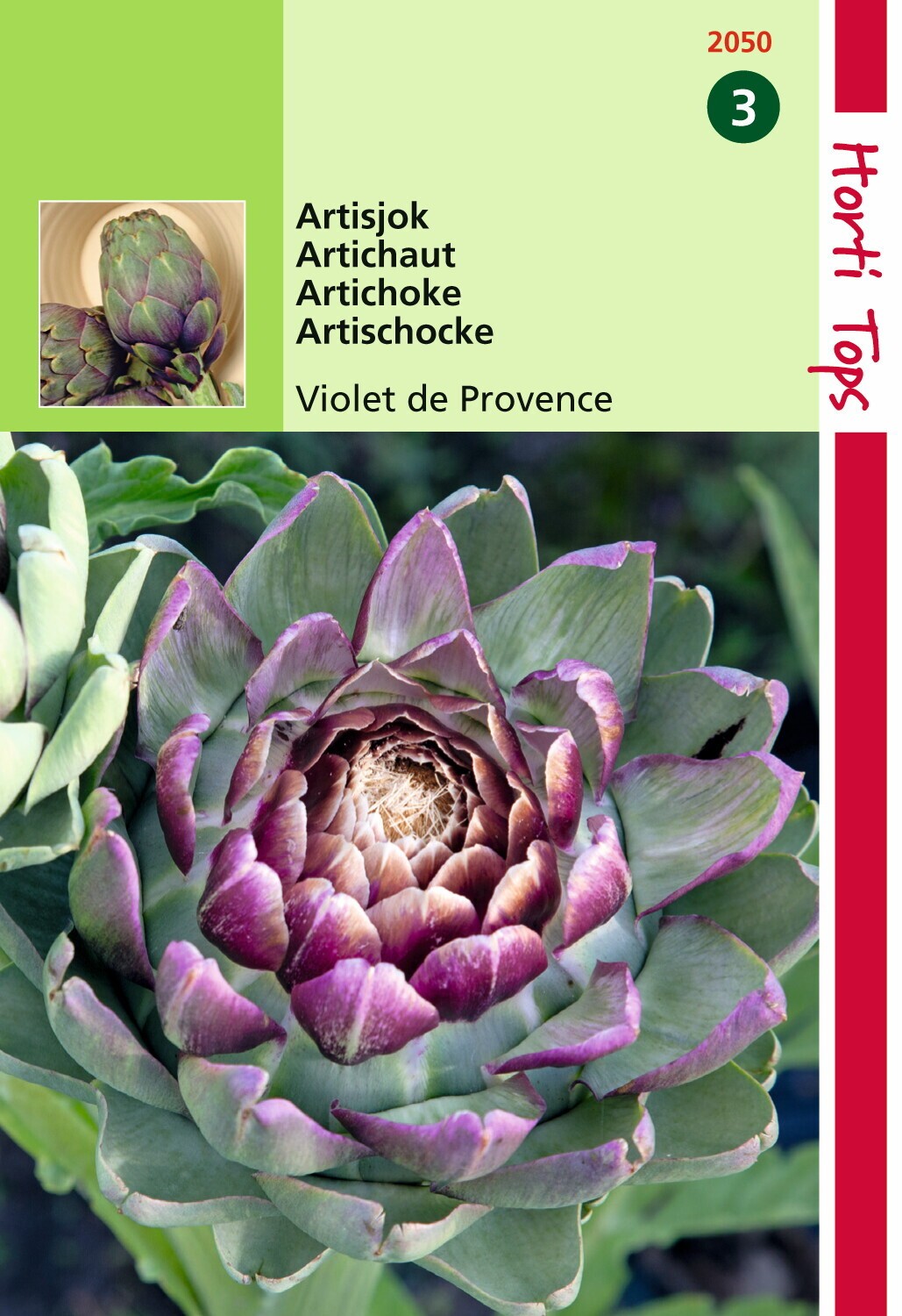 Hortitops Artisjok Violet De Provence - 