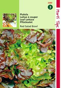 Hortitops Red Salad Bowl Rode Eikenbladsla - 