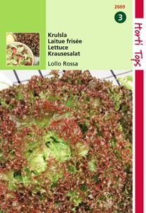 Hortitops Krulsla Lollo Rossa - 