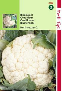 Hortitops Bloemkool Herfstreuzen 2 - 