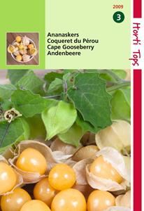 Hortitops Ananaskers Physalis Edulis Peruviana - 