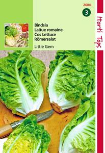 Hortitops Bindsla Romeinse mini sla Little Gem Sucrine - 