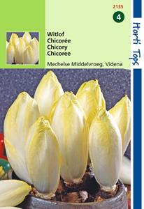 Hortitops HT Witlof Mechelse Middelvroeg, Videna - 
