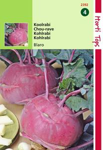 Hortitops Koolrabi Blaro - 