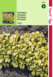 Hortitops Postelein Breedbladige Gele - 