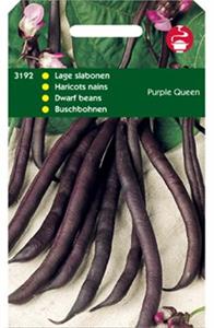 Tuinplus Stamslabonen Purple Queen - 