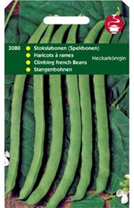 Tuinplus Stokspekbonen Neckarkonigin (Type Phenomeen) - 