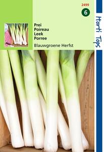 Hortitops Prei Blauwgroene Herfst Ideal - 