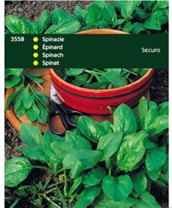 Tuinplus Spinazie Securo - 