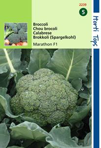 Hortitops Broccoli Marathon V H Premium Crop F1 - 
