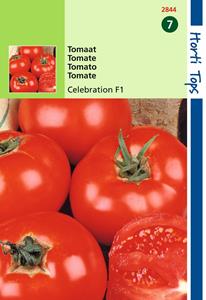 Hortitops Tomaten Luxor Celebrity F1 Hybride - 
