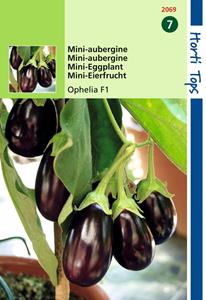 Hortitops Aubergine mini Ophelia F1 hybride - 