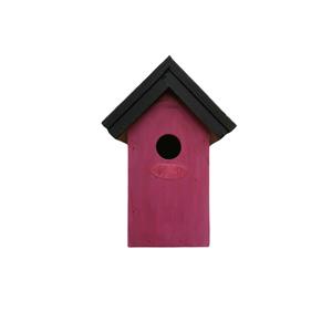 Lifetime Garden Houten vogelhuisje/nestkastje 22 cm - zwart/roze DHZ schilderen pakket -