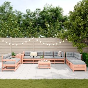 vidaXL 11-delige Loungeset massief douglas vurenhout