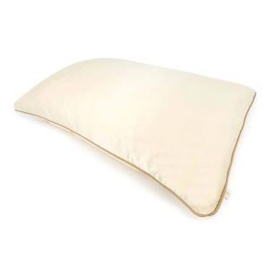 Holistic Silk Pure Silk Pillowcase